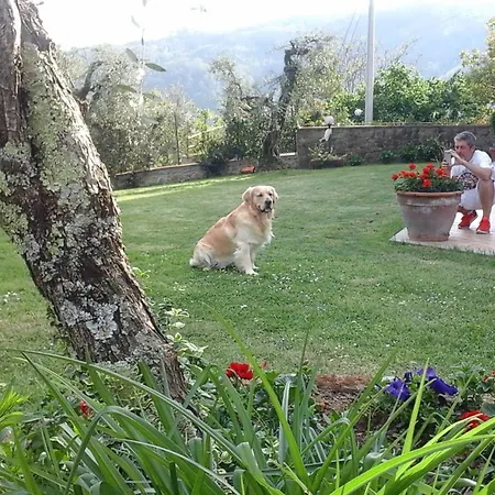 Penelope *